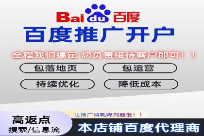 SEM实战案例：案例分析广告效果评估